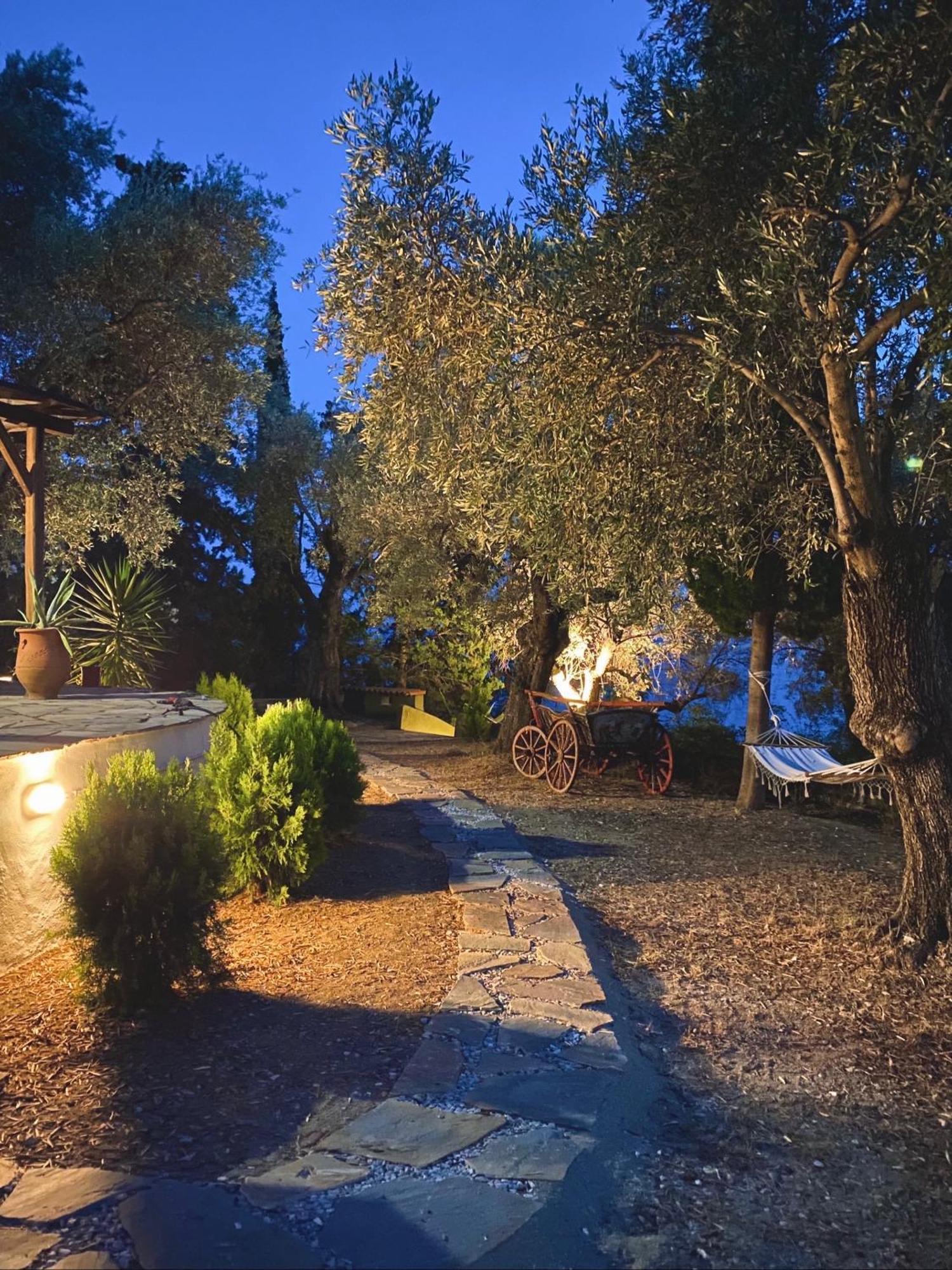 Sunset Of Pelion Vila Káto Gatzéa Exterior foto